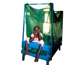 Bedding Set w/Mosquito Net